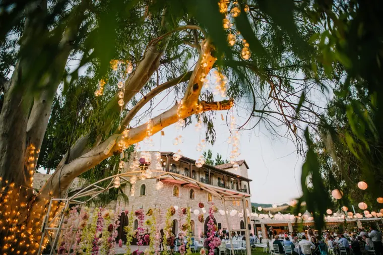 Eloping to Cyprus: The Complete Guide — image 6 of 21