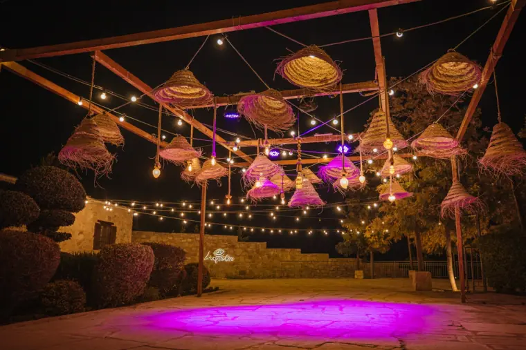Liopetro Venue Wedding Photographers — image 15 of 56