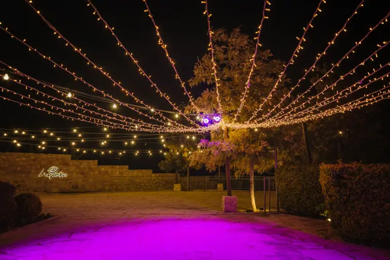 Liopetro Venue Wedding Photographers — image 16 of 56