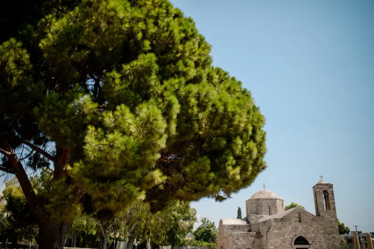 Paphos Wedding Photographer — image 328 of 383
