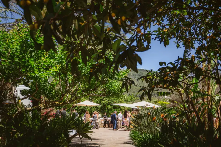 Can Gall Ibiza Wedding Photographer — image 16 of 39