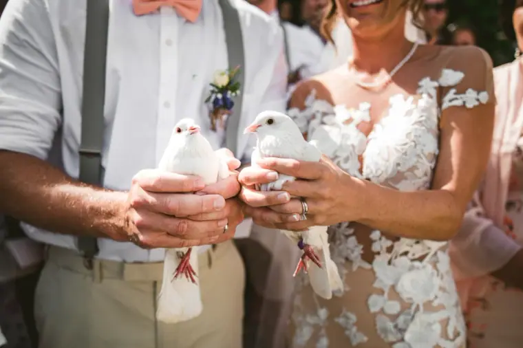 Vasilias Nikoklis Inn Wedding Photographer — image 107 of 688