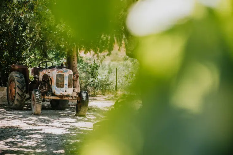Vasilias Nikoklis Inn Cyprus Wedding Photography — image 23 of 127