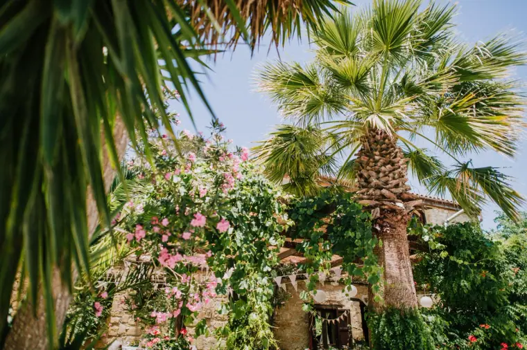Vasilias Nikoklis Inn Cyprus Wedding Photography — image 24 of 127