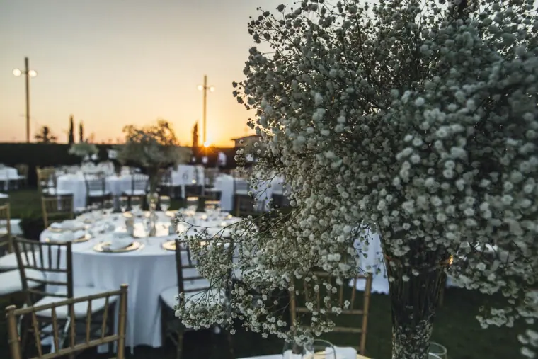 Traditional Cypriot Wedding Photography Nicosia — image 111 of 157