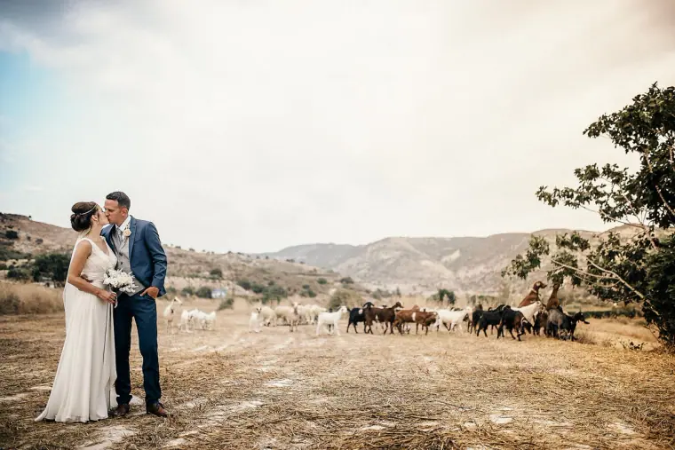 Donna & Byron's Vasilias Nikoklis Inn Wedding, Paphos — image 55 of 81