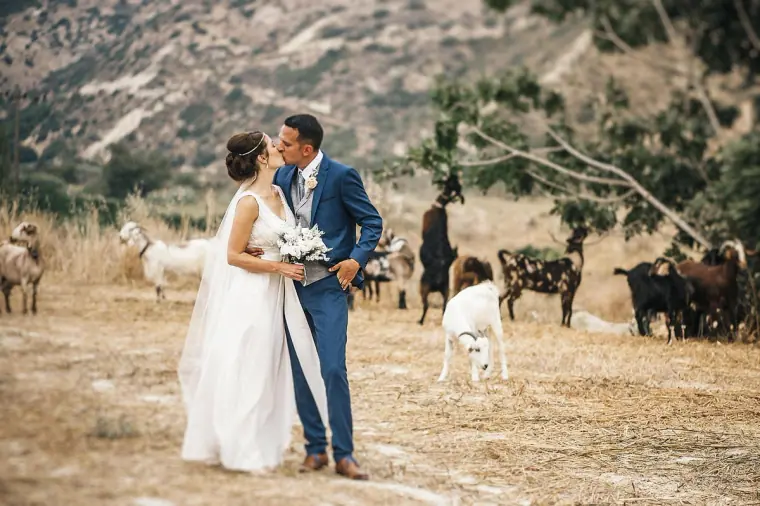 Donna & Byron's Vasilias Nikoklis Inn Wedding, Paphos — image 57 of 81
