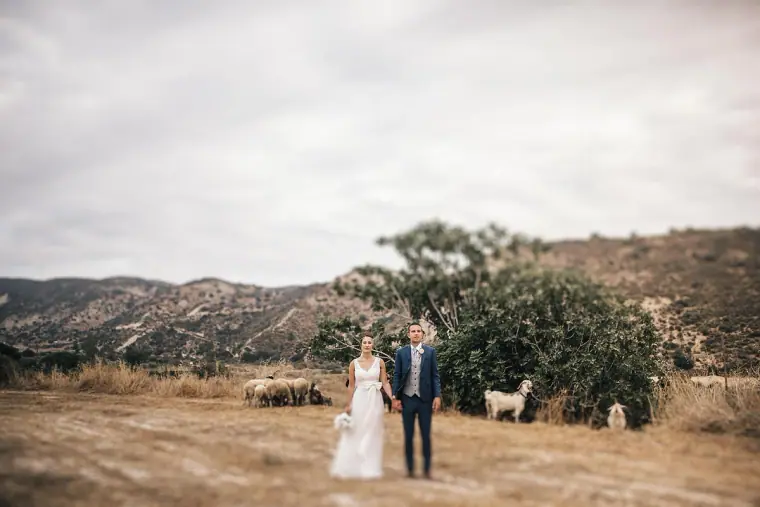 Donna & Byron's Vasilias Nikoklis Inn Wedding, Paphos — image 58 of 81