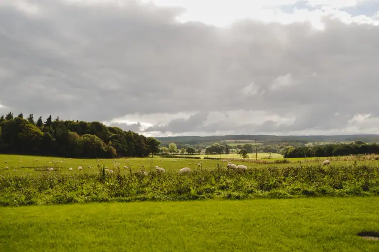 Healey Barn Wedding Photographer — image 62 of 117
