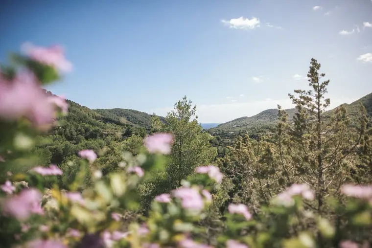 Hidden Bar Ibiza Wedding Photographer — image 6 of 53