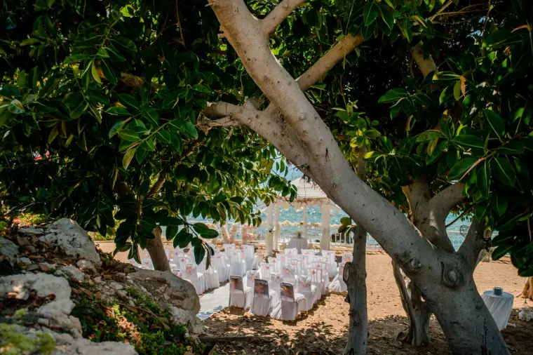 Laura Beach Hotel Paphos Cyprus Wedding Photographer — image 35 of 99
