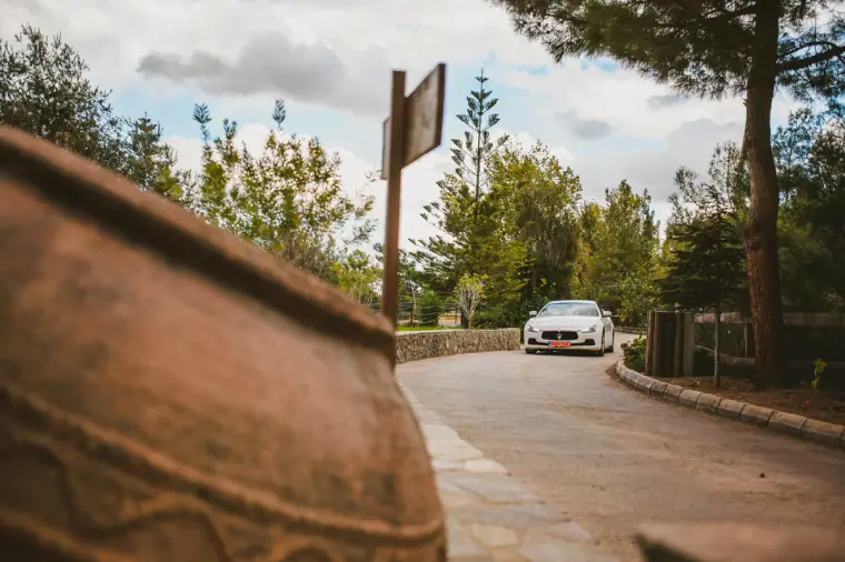 Lexeko Estate Cyprus Destination Wedding Photographer — image 38 of 147
