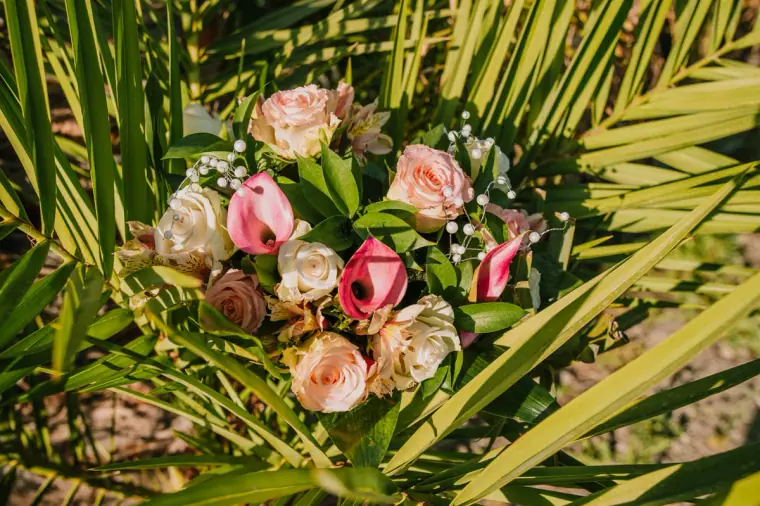 Hadjiantonas Winery Limassol Cyprus Wedding Photographer — image 54 of 133
