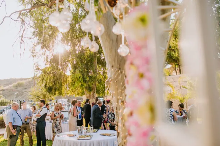 Hadjiantonas Winery Limassol Cyprus Wedding Photographer — image 65 of 133