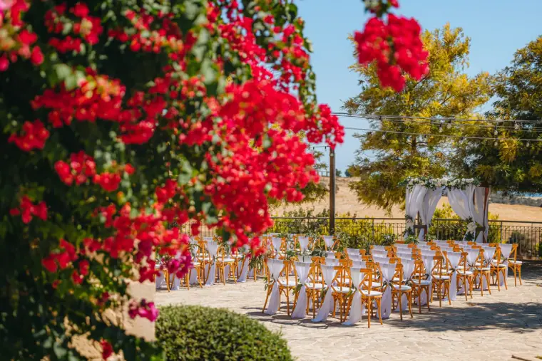Liopetro Wedding Photographer Cyprus — image 346 of 368