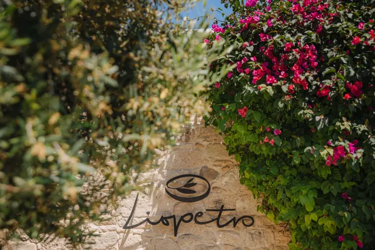 Liopetro Wedding Photographer Cyprus — image 347 of 368