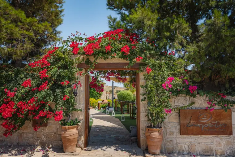 Liopetro Wedding Photographer Cyprus — image 348 of 368