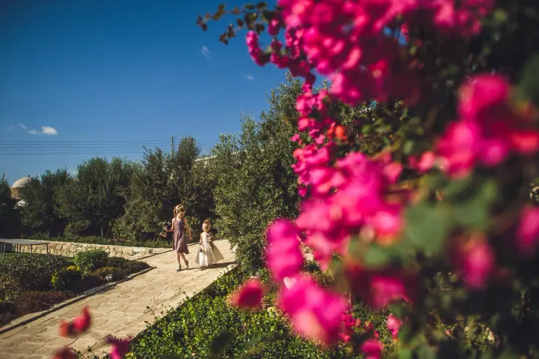 Liopetro Wedding Photographer Cyprus — image 242 of 368