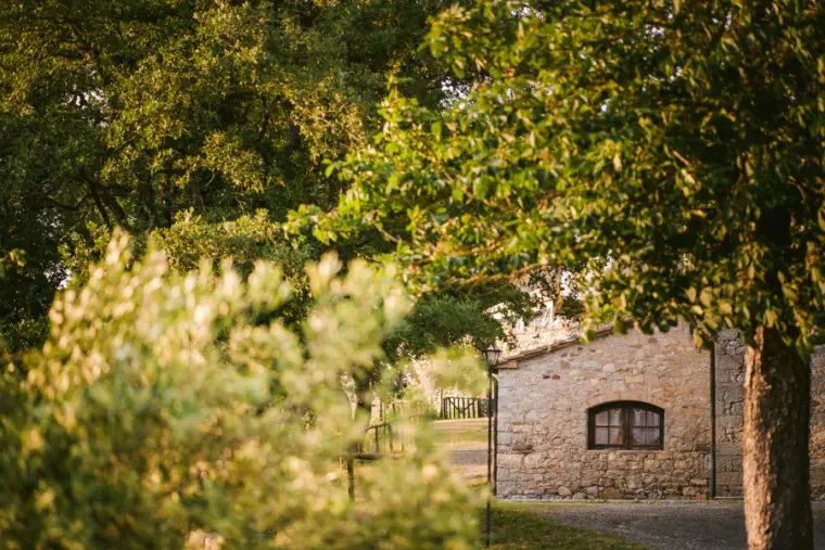 Livernano Estate Wedding Photographer Tuscany — image 5 of 38