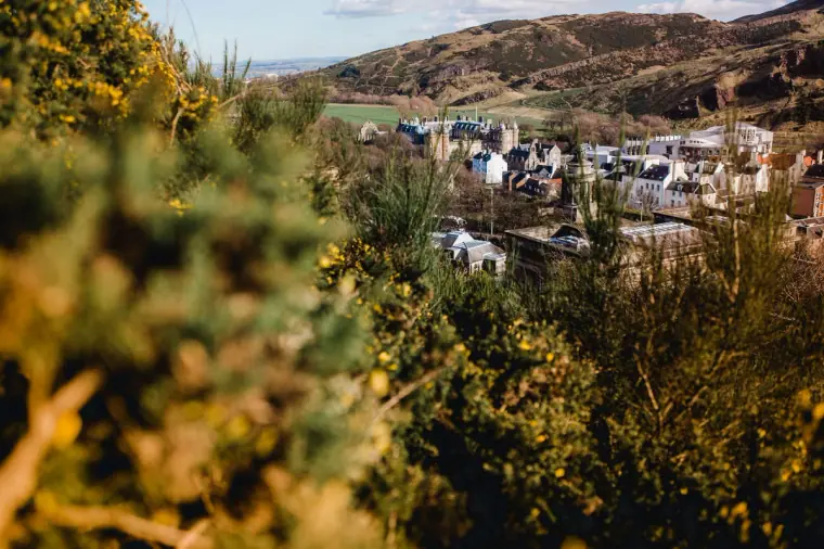 March Around Edinburgh — Travel Journal — image 54 of 88