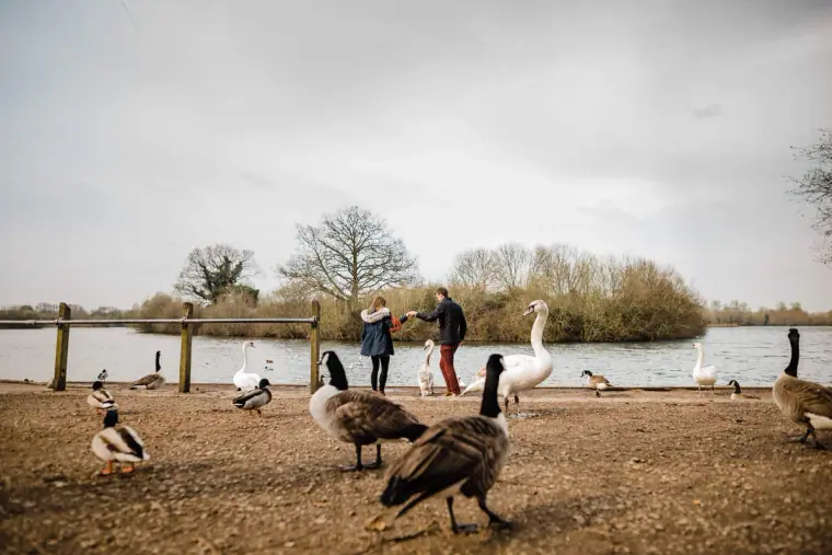 UK Pre-Wedding Engagement Shoot, Dinton Pastures — Beziique — image 7 of 54