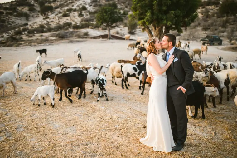 Vasilias Nikoklis Inn Nikokleia Cyprus Wedding — image 86 of 123