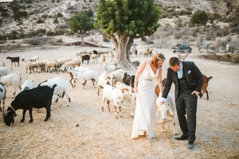 Vasilias Nikoklis Inn Nikokleia Cyprus Wedding — image 88 of 123