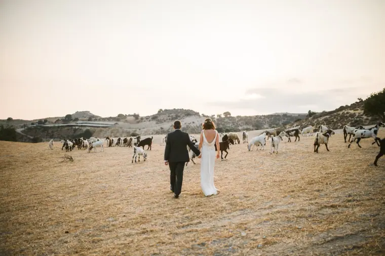 Vasilias Nikoklis Inn Nikokleia Cyprus Wedding — image 89 of 123