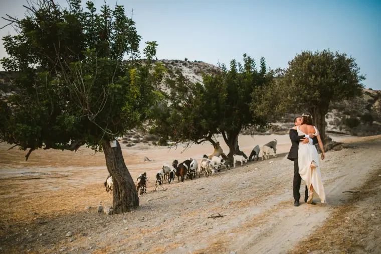 Vasilias Nikoklis Inn Nikokleia Cyprus Wedding — image 90 of 123