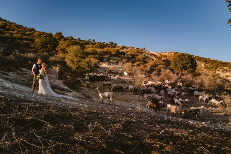 Vasilias Nikoklis Inn Wedding, Cyprus — Beziique Photographers — image 53 of 66