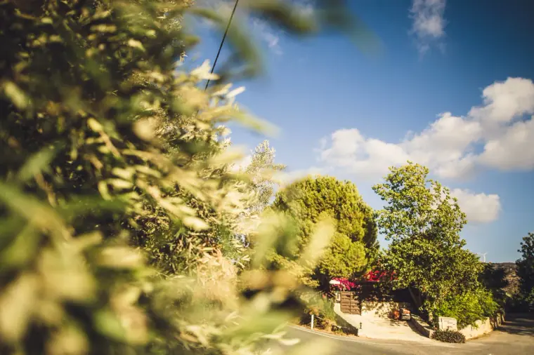Paphos Wedding Photographer — image 65 of 383