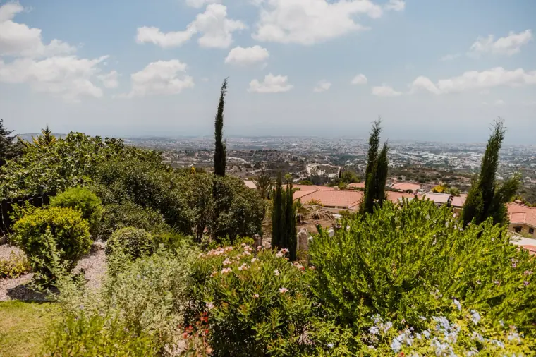 Minthis Hills Paphos Wedding Photography — image 3 of 134