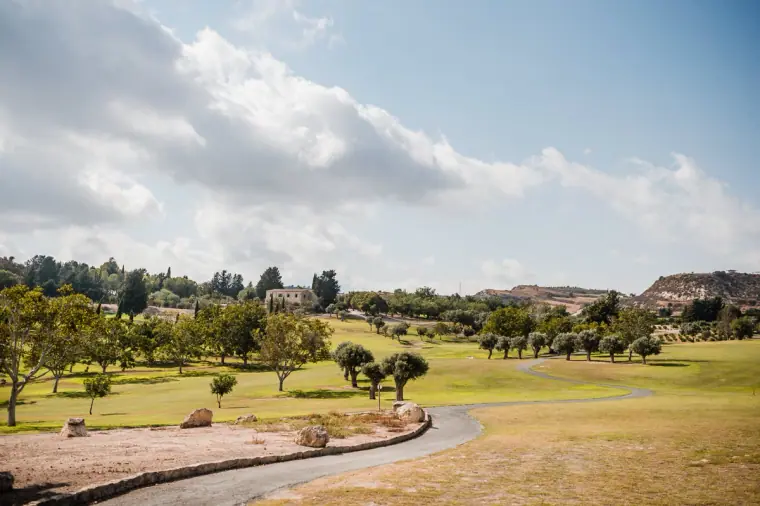 Minthis Hills Paphos Wedding Photography — image 38 of 134