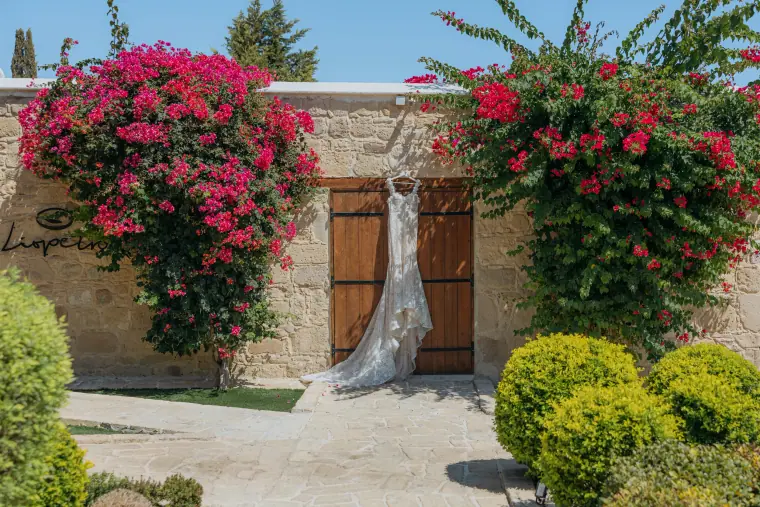 Wedding Photography Portfolio — Beziique Cyprus & Ibiza — image 129 of 319